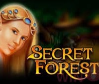 Основные принципы игры на Secret Forest