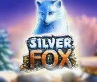 Игровой аппарат Silver Fox: характеристики и гемплей